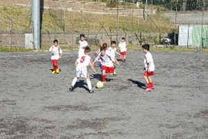 Sport - Calcio - La Mini Champions organizzata dal Barco Murialdina