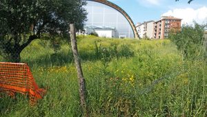Viterbo - Degrado alla palestra di santa Barbara