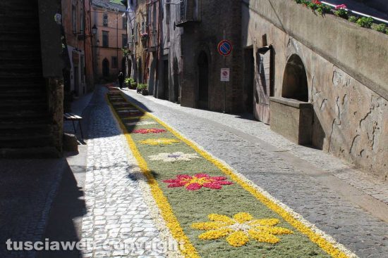 Canepina - Processione della Madonna di maggio