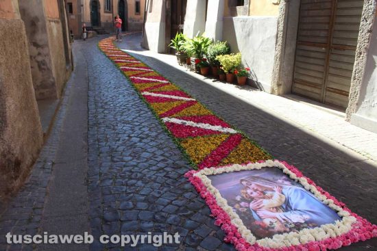 Canepina - Processione della Madonna di maggio