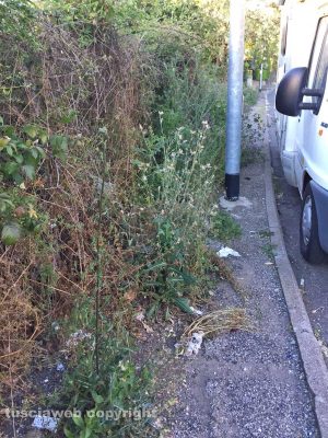 Viterbo - Via Monti Cimini - Le erbacce invadono i marciapiedi