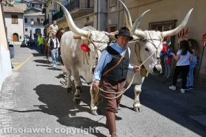 Latera - La festa di Sant'Isidoro