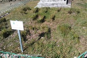 Viterbo - Pratogiardino Lucio Battisti - Una volta c'era scritto “Città di Viterbo”