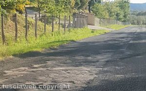Vetralla - Le buche su strada provinciale 10