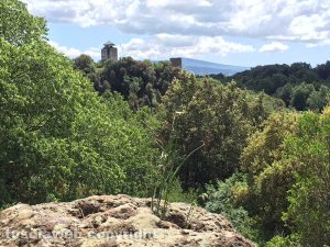 Castel D'Asso