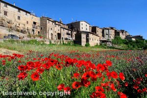 La primavera a Piansano