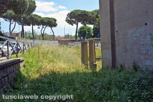 Erbacce ai lati della chiesa
