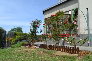 Fiori, piante e un orticello nella residenza Adisu