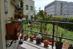 Fiori, piante e un orticello nella residenza Adisu