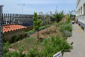 Fiori, piante e un orticello nella residenza Adisu