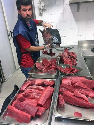 Il pesce sequestrato dalla guardia costiera
