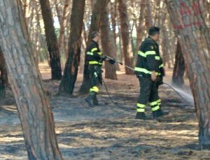 Tarquinia - Principio d'incendio nella pineta in località Sant’Agostino