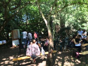 Viterbo - Orto botanico - Verdi e contenti