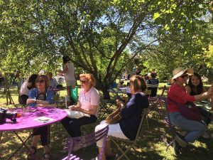 Viterbo - Orto botanico - Verdi e contenti