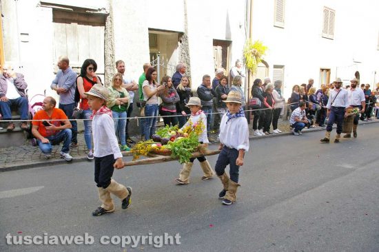 Marta - Il paese celebra la Madonna del Monte