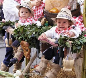 Marta - Il paese celebra la Madonna del Monte