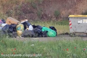 Viterbo - Rifiuti a Colle Verde