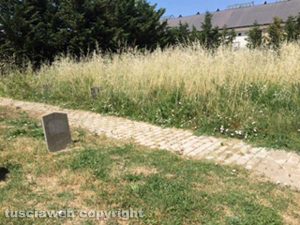 Viterbo - Cimitero S. Lazzaro - Erba alta nella zona sepolture a terra