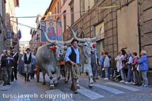 Viterbo - La processione del santissimo Salvatore