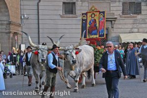Viterbo - La processione del santissimo Salvatore