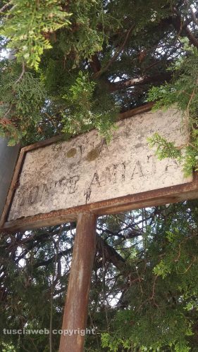 Viterbo - L'indicazione di via Monte Amiata scolorita e coperta dai rami