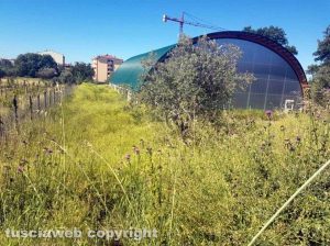 Viterbo - Il centro polivalente a Santa Barbara nel degrado
