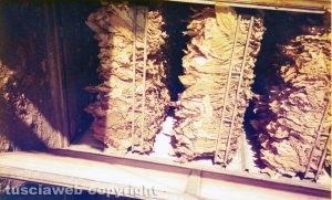 Piantagioni di tabacco nelle campagne viterbesi