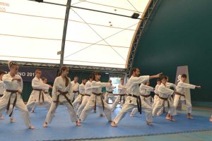 Sport - Karate - Il raduno della scuola Keikenkai