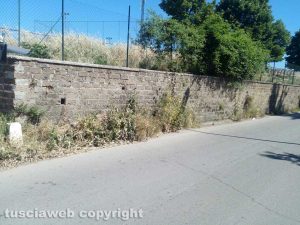 Grotte Santo Stefano - Erbacce e incuria in paese