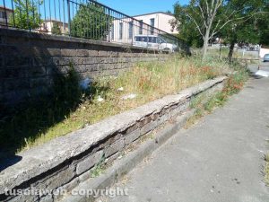 Grotte Santo Stefano - Erbacce e incuria in paese