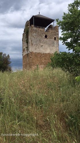 Castel D'Asso