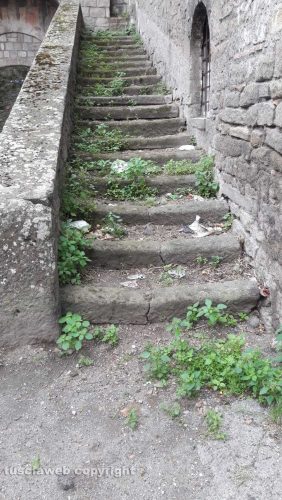 Viterbo - Degrado in largo Alceste Grandori