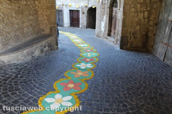 Canepina - Processione della Madonna di maggio