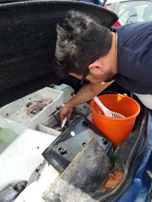 I controlli della guardia costiera 