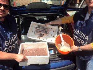 I controlli della guardia costiera