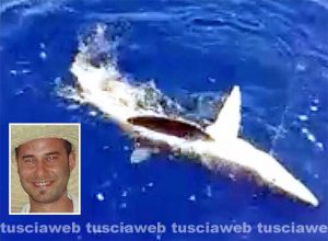 Montalto di Castro - Lo squalo che ha azzannato il pescatore 27enne - Nel riquadro: La vittima Lorenzo Posati