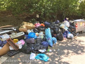 Viterbo - Discarica a cielo aperto all'inizio di strada Palomba
