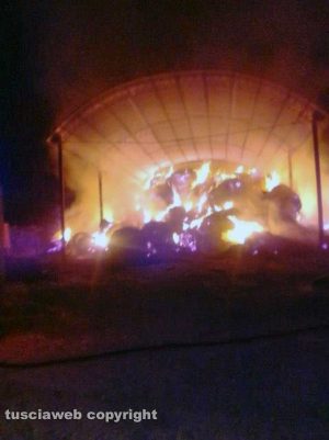 Tuscania - L'incendio sulla Vetrallese con le balle in fiamme 