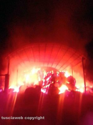 Tuscania - L'incendio sulla Vetrallese con le balle in fiamme 