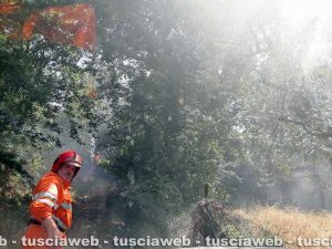 Bolsena - Incendio al parco di Turona - L'intervento dell'associazione protezione civile di Marta