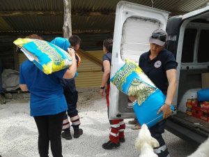 I volontari con il cibo per gli animali di Amatrice