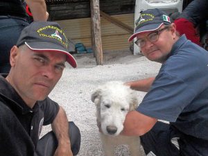 I volontari con il cibo per gli animali di Amatrice 