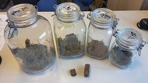Viterbo - La droga sequestrata dai poliziotti della squadra mobile 