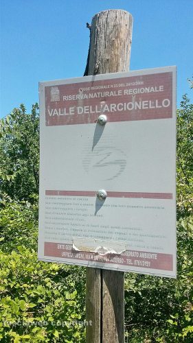 Viterbo - Rifiuti in strada Monte Pizzo