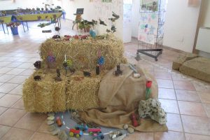 Capodimonte - La mostra “Creiamo con la natura”