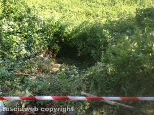 Viterbo - Auto fuori strada in via Belluno