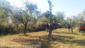 Vitorchiano - Terreni in fiamme in strada S. Cataldo