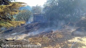 Viterbo - Vastissimo incendio a Sant'Angelo di Roccalvecce