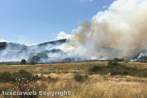 Latera - Bosco in fiamme