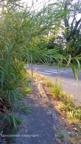 Montefiascone - Località Fastello - Marciapiedi nel degrado